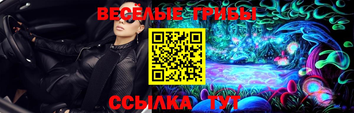 Галлюциногенные грибы GOLDEN TEACHER Апрелевка